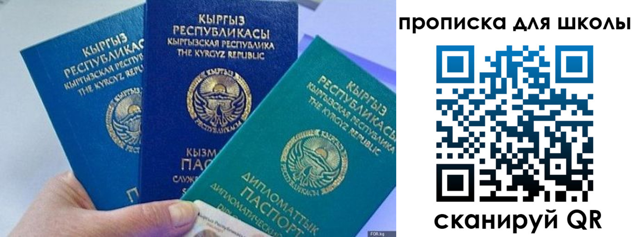 прописка регистрация в Дмитрове